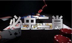 宠物狗材料大全图片V